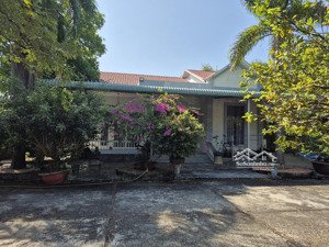 bán nhà riêng tại đường thái mỹ, xã thái mỹ, củ chi, hồ chí minh, 6 tỷ, 1300m2