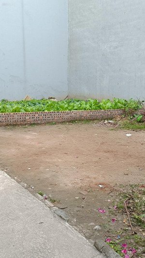 mảnh đất vàng còn sót lại trung tâm long biên-ngõ oto thông giá dành cho khách đầu tư sinh lời