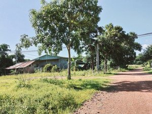 1.134m2 khu bàn cờ tái định cư, oto vô tận nơi tại cư jút, cách tp buôn mê thuộc chỉ 25p