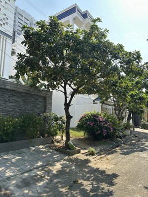 bán đất phú nhuận 1 dãy e dt 129.5m2 (7m x 18.5m) giá 20.7 tỷ - sổ hồng riêng- có hỗ trợ vay