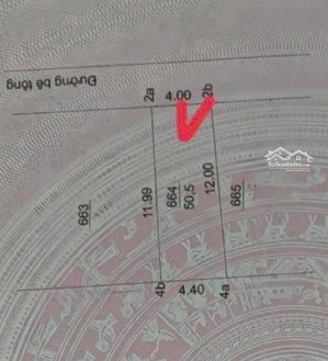 chính chủ cần bán mảnh đất phúc hoà, ô tô đổ cửa diện tích 50,5m