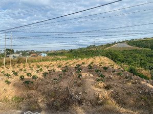 bán đất thổ cư mặt tiền đường bê tông. lh 