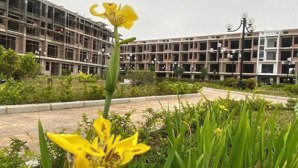 liền kề dự án hồng an happy house 70m2 4 tầng 1 tum giá chỉ từ 4,2tỷ