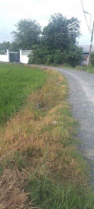 bán đất tại xã trung lập thượng, củ chi, hồ chí minh, giá cực chất 7,3 tỷ, 1457m2