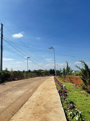 bán lỗ đất ngay chợ tân hội, đt, 5x30m, full thổ cư, đường betong 5m, giá 599tr