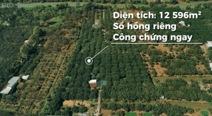 [CHÍNH CHỦ] Nhượng lại 3 miếng đất liền kề hơn 1,2 ha gần sông khu vực Tân Triều