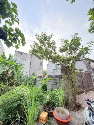 bán đất tại bưng ông thoàn, 4,88 tỷ, 66m2, mặt tiền 5.5m bao đẹp