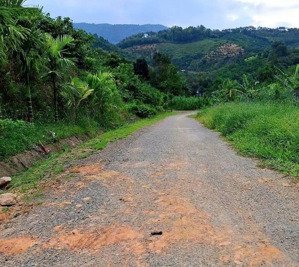 đất hòa ninh view đồi cực đẹp 103m2 full thổ