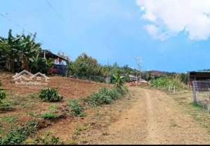 đất hòa ninh gần trung tâm, chợ, trường học