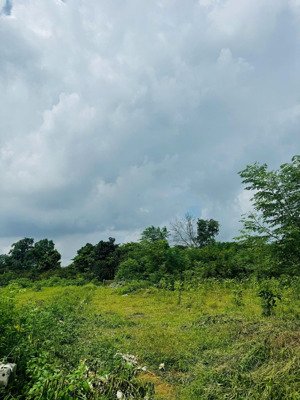 siêu phẩm đất nghỉ dưỡng vân hòa, giá rẻ nhất khu vực, gần các kdl nổi tiếng, cách trục chính 400m