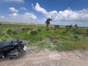 đất nền giá rẻ tân thành, thủ thừa, long an, đường 7m xe hơi, sổ hồng công chứng ngay.