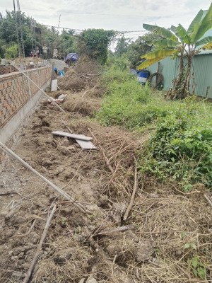 chính chủ bán 650m2 có 371 m2 thổ cư. ngang 6.5 mét vuông vức, lọt khe mặt tiền kênh xáng lớn