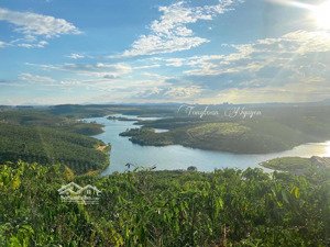 bán đất mặt tiền lộc thắng, 12 tỷ, 20000 m2, pháp lý đầy đủ, giá siêu hời!