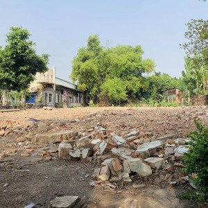 hàng hiếm phan văn đối - đất dt lớn 842m2 - full thổ cư giá tốt để đầu tư & phân lô