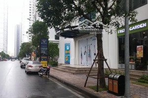 chính chủ cần bán gấp shophouse vinhomes times city - 140 m² - giá siêu rẻ 17,5 tỷ