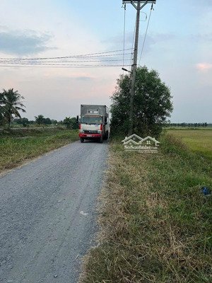 bán đất nền đẹp tân thành - thủ thừa - long an, đường xe hơi, thích hợp làm nhà vườn