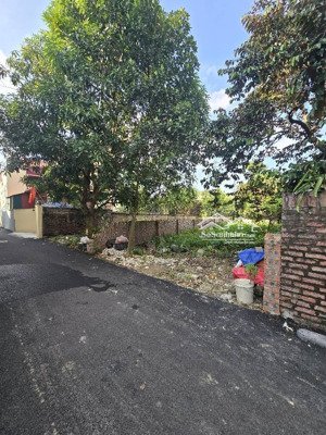 bán đất 120m2 tại xã tân dân, sóc sơn, hà nội, giá 3,38 tỷ