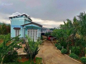 bán lỗ gấp đất vườn có nhà 20 x 48m, 960m² trung tâm tp bảo lộc, giá 500 triệu