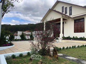 bán biệt thự hiệp an view núi rừng 300m² đất ở phù hợp homestay