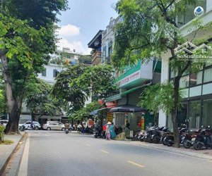 bán mảnh đất mặt phố phan kế bính 240m, mặt tiền 14m, vỉa hè kinh doanh sầm uất, nhỉnh 80 tỷ.