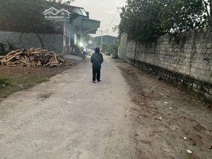 bán đất 77m2 tại đỗ xá, xã vạn nhất, thường tín, hà nội, 2,99 tỷ