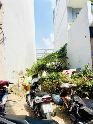 cần bán đất 173// an dương vương, phường an lạc, bình tân - đường 6m - xe vô nhà vô tư