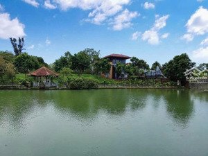 đất view hồ cực đẹp tại hoà lạc