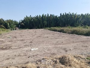 chỉ 9,7 tỷ sở hữu ngay lô đất 6568m2 mặt tiền đường rạch lá, an thới đông, cần giờ