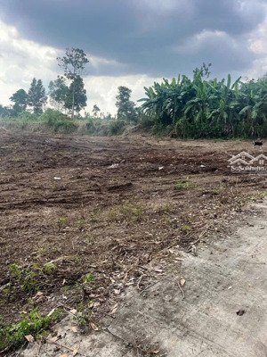 2400m2 thổ cư 100m2 giá bán 580tr/sào sát nhựa xuân tây 35m mặt tiền bê tông đất bằng + đường thông