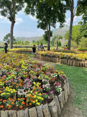 bán đất vườn siêu đẹp tại thôn nam yên xã hòa bắc - tp đà nẵng. diện tích 2500m... giá 6,5 tỷ