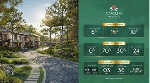 số lượng có hạn! biệt thự thanh xuân valley kề cận intercontinental - ck tới 16%, sổ hồng lâu dài