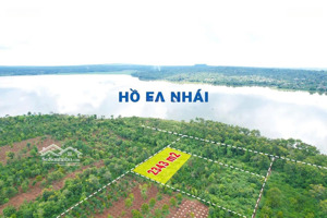 ôm 3 mặt tiền đất rẫy view hồ ea nhái trồng full cà phê có thu hàng năm quỳnh anh