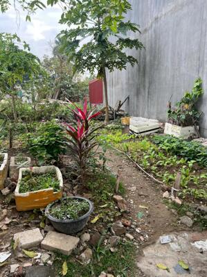  ĐẤT TRỐNG MẶT ĐƯỜNG ĐỐNG ĐA – MỸ TRANH – AN DƯƠNG – HẢI PHÒNG