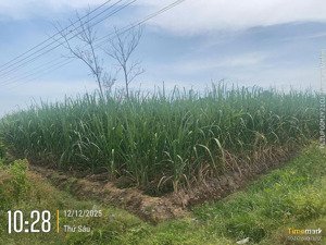 bán đất tại xuân đông, cẩm mỹ, đồng nai, 12 tỷ, 7129 m2