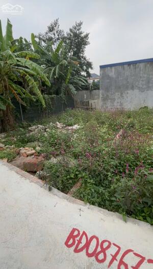 Bán đất 50m2 Tràng Duệ An Dương Hải Phòng