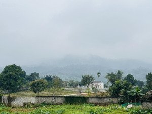 chính chủ bán gấp lô góc 2 mặt tiền 330m2, giá tốt, lô góc duy nhất đẹp nhất yên bài