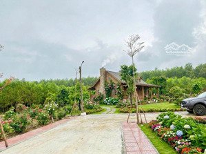 bán đất nền hoà phú, hoà vang, đà nẵng, 100% thổ cư, giá chỉ hơn 10tr/m2. lh my tư vấn.