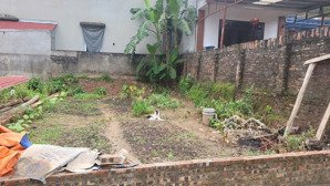 bán lô 82.5m tại thôn văn lôi xã tam đồng