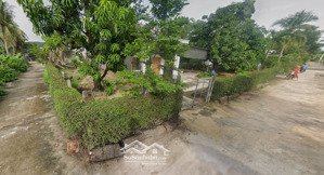 lô đất cam hiệp bắc quy hoạch an toàn giá đầu tư cực tốt chỉ 880 triệu