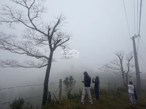 lô biệt thự bán 2 con duy nhất 2 nền siêu vip sát măng đen. có thổ cư