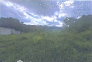 công ty đấu giá hợp danh đông nam thông báo đấu giá tài sản