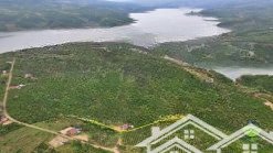 đất đầu tư khu vực lâm hà. view sông đồng nai. đường bê tông. chuyển đổi xây dựng.