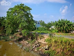 BÁN 3.834m² ĐẤT VƯỜN MẶT TIỀN 59M – GẦN KCN VÀM CỐNG – TIỀM NĂNG SINH LỜI CỰC CAO