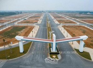 sao mai ricedence kiến tạo giá trị- kết nối tương lai