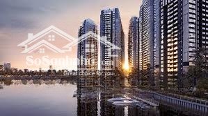 the privé tọa lạc dọc sông giồng ông tố, ngay tại trung tâm "downtown" mới của thành phố
