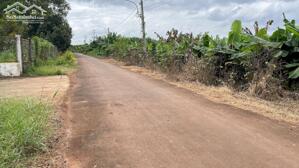 Bán đất 2ha Phú Mỹ BRVT – Mặt tiền đường nhựa, gần Vành Đai 4, làm kho xưởng