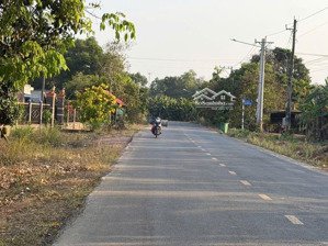 bán đất mặt tiền đh 504, phước sang, phú giáo