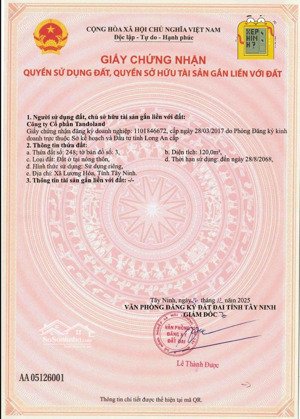 dragon eden hàng hiếm trước giờ mở bán