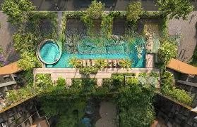 feliz trong tiếng tây ban nha nghĩa là hạnh phúc. cất lời cho một phong cách sống khoáng đạt.