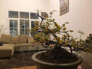 bán nhà đẹp, xây hiện đại, vị trí đẹp